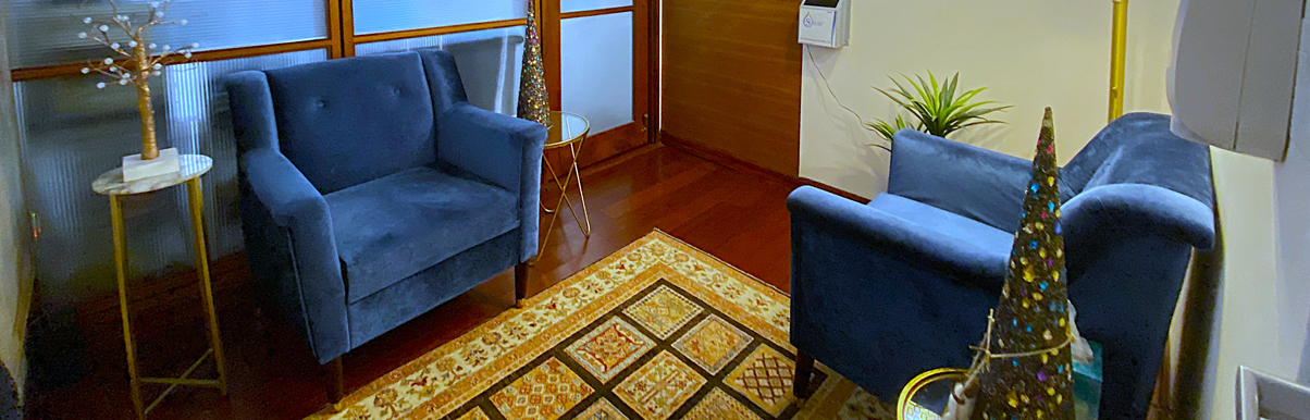 fifthavenuesmile | Cozy waiting room with dark blue loveseat chairs, patterned area rug, side table with small decorative tree, and holiday décor.